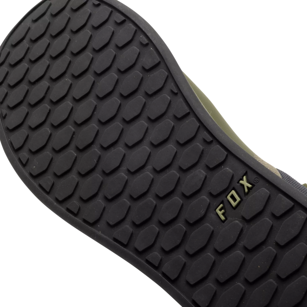 Fox Union Canvas Shoes