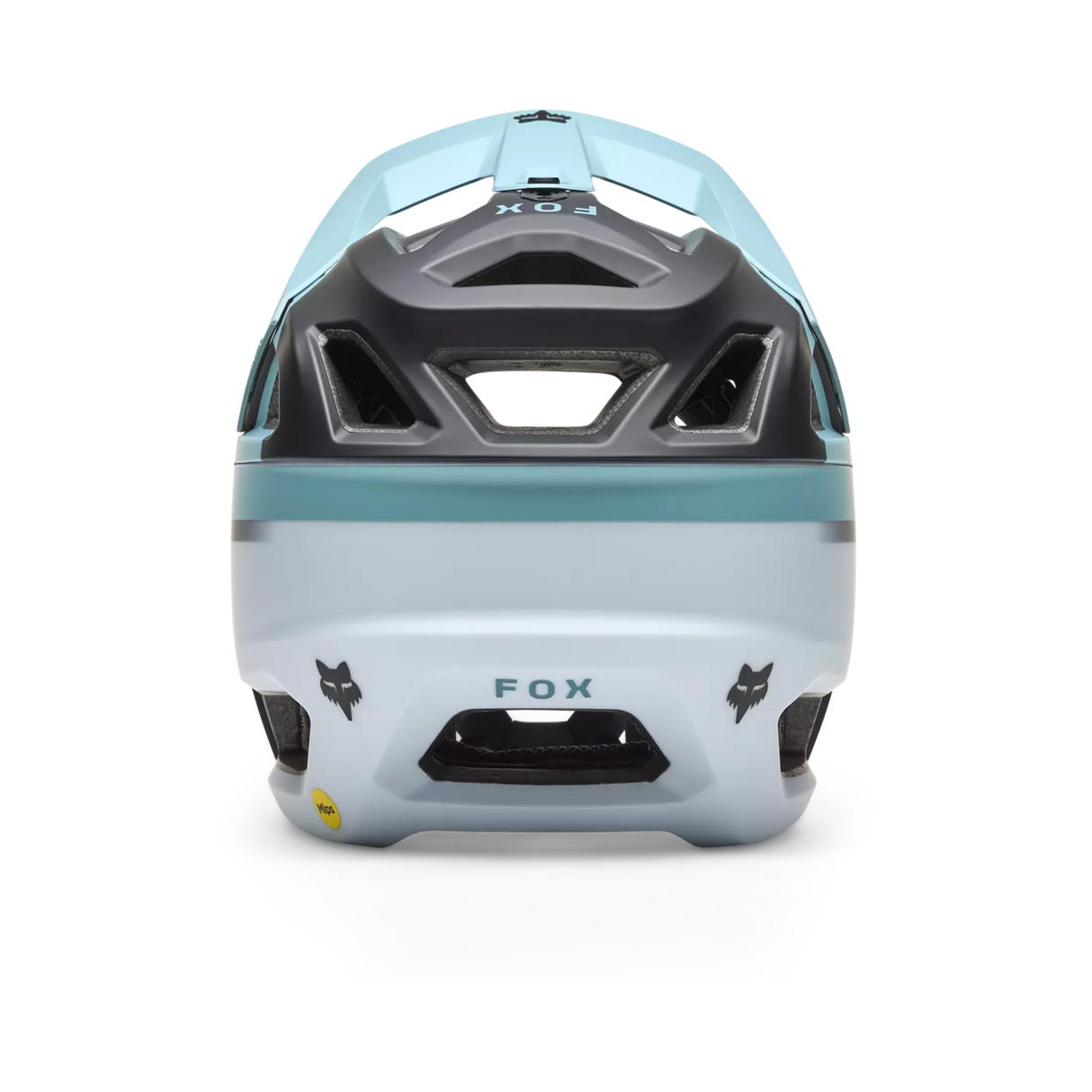 Proframe Rizer Helmet