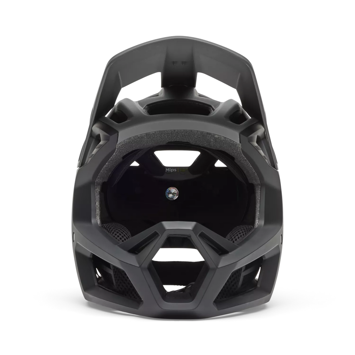 Proframe Rizer Helmet