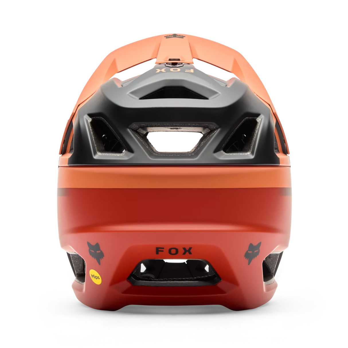 Proframe Rizer Helmet