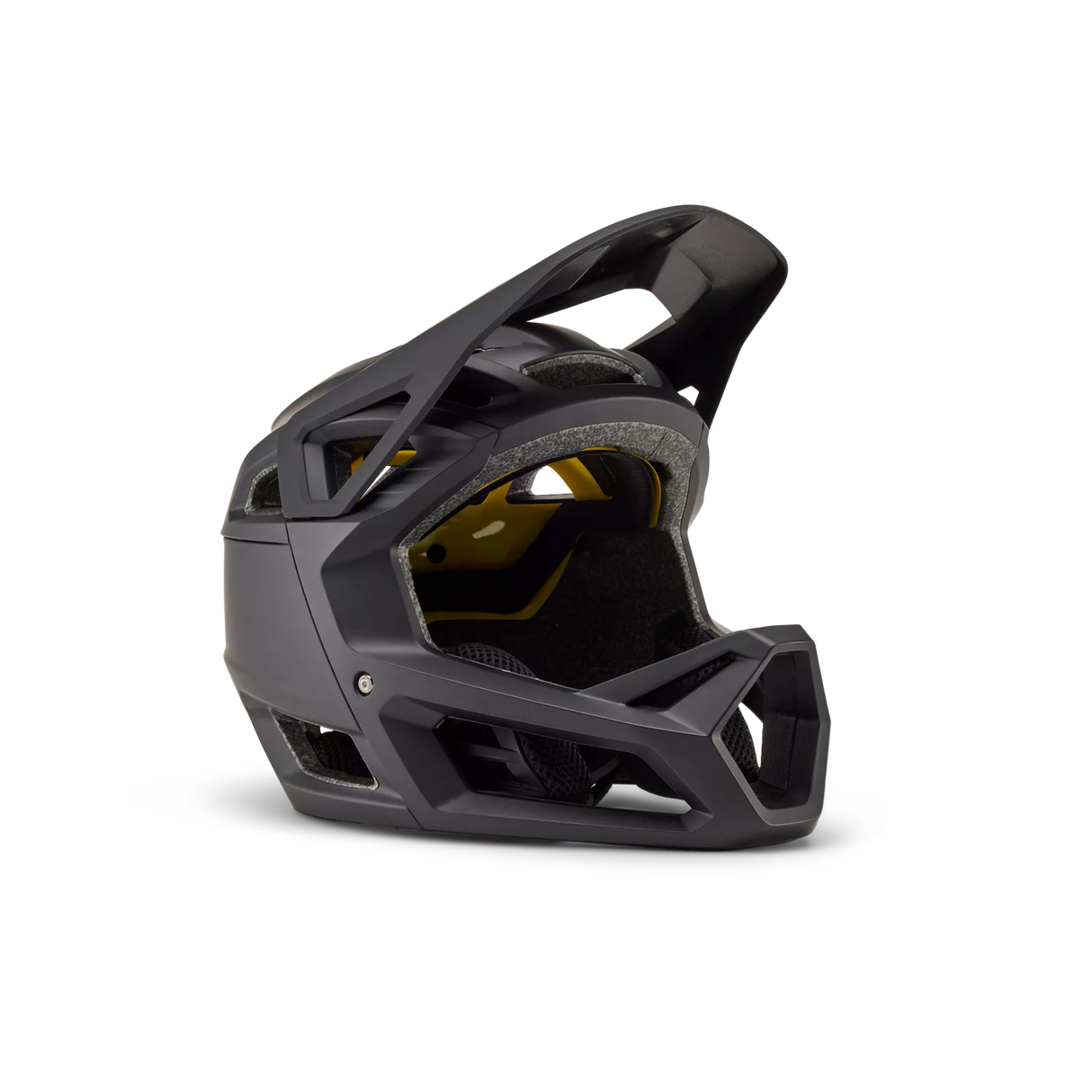 Proframe Matte Black Helmet