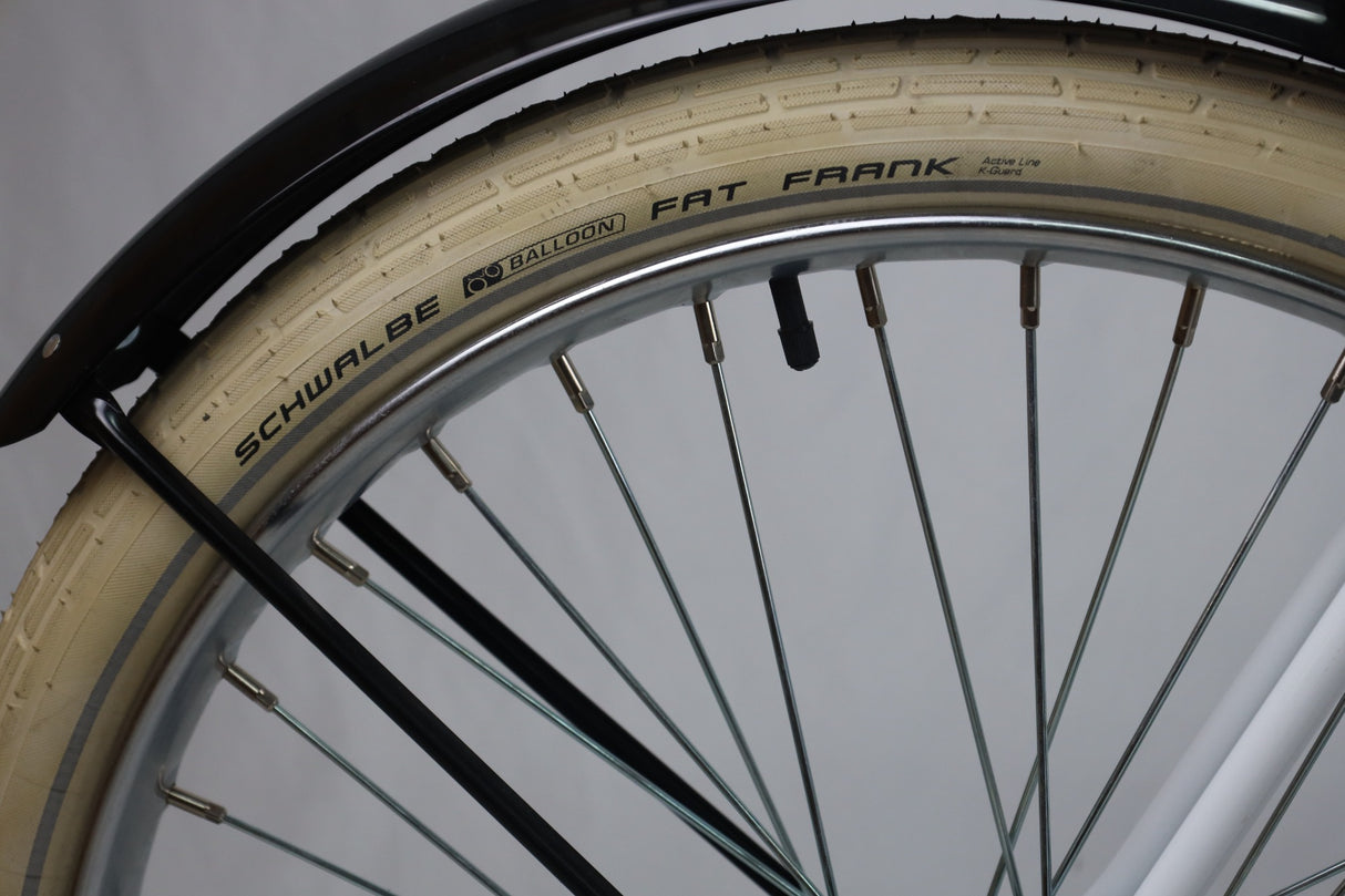 Model M2600 Specialty Bike