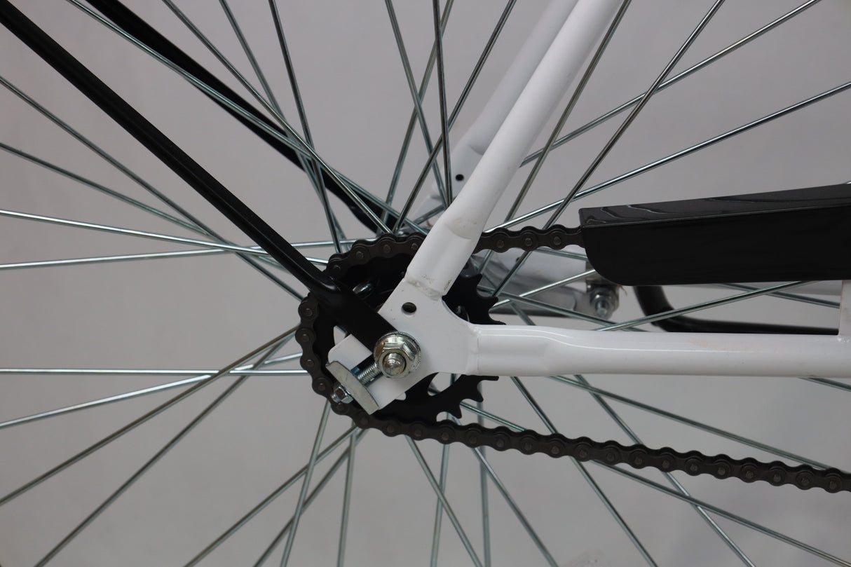 Model M2600 Specialty Bike