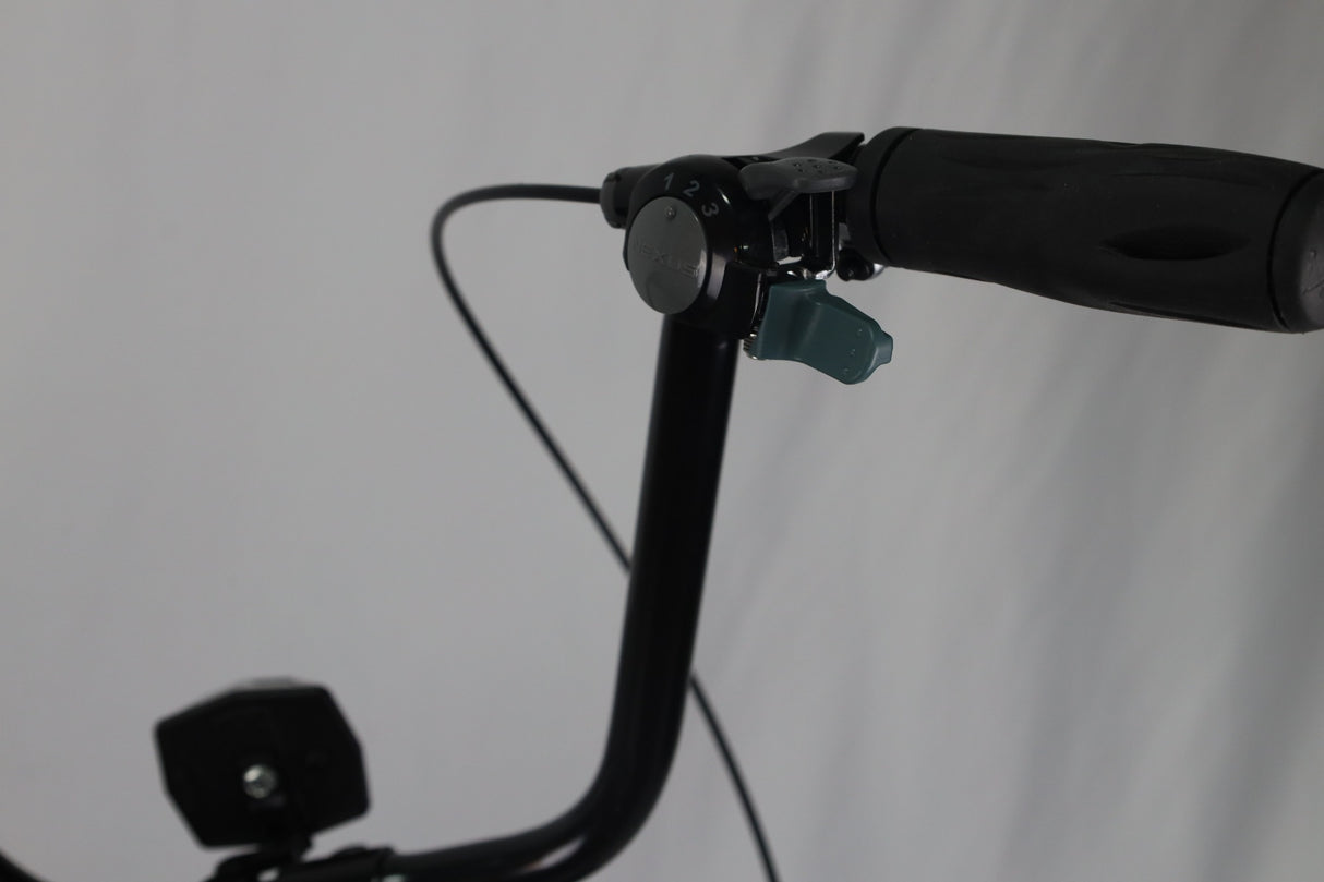 Model M2600 HD Specialty Bike