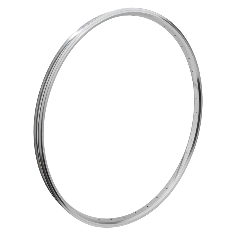 Se bikes J24SG 29in 36H Rim