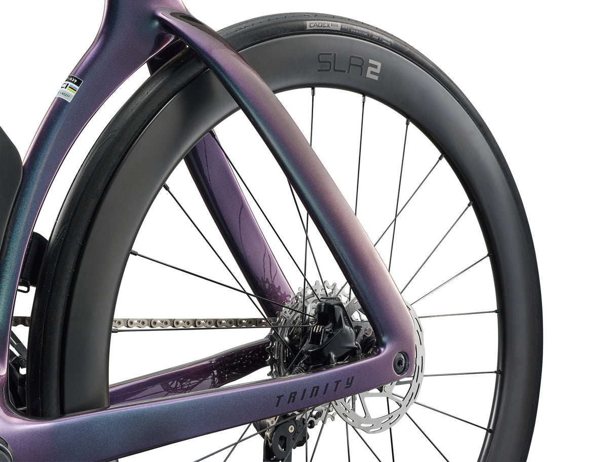 Trinity Advanced SL 2