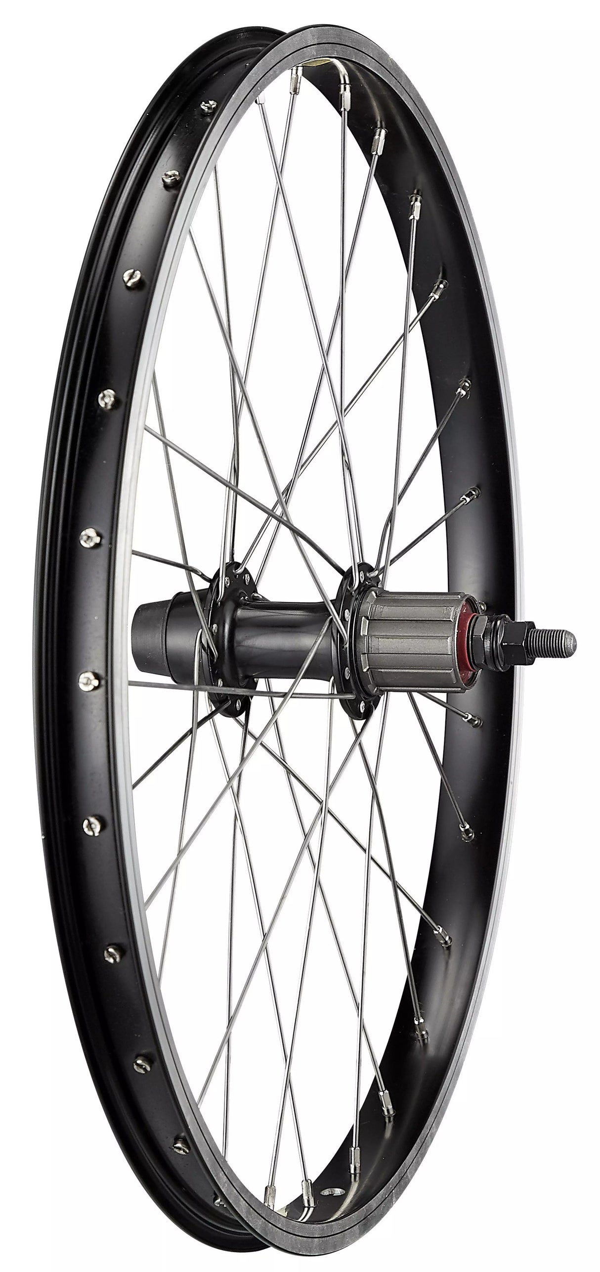Specialized WHL JETT 20, REAR, 20", 28H, 7S FREEHUB, RIM BRAKE, 10MM SOLID AXLE, 135MM