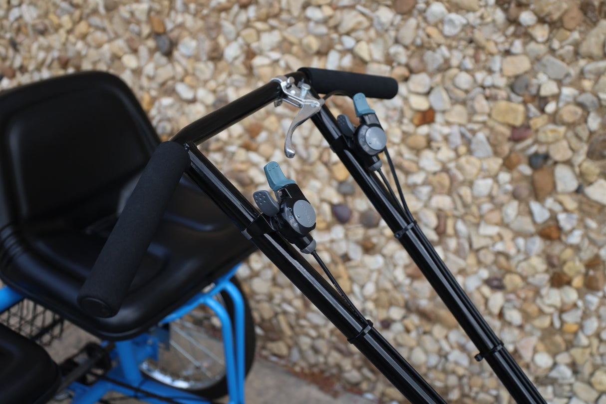 Side x Side Trike image 2