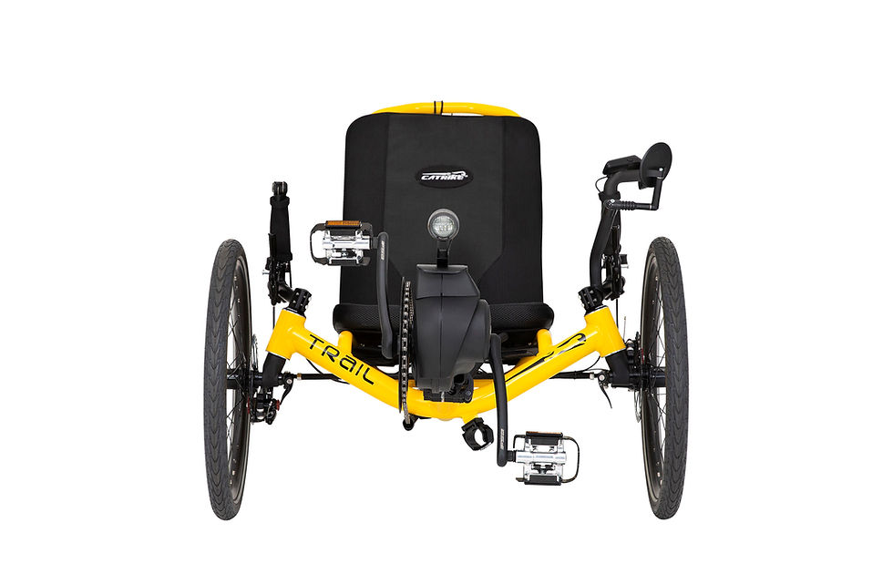 Trail eCAT Limited Edition Chrome Electric Recumbent Trike