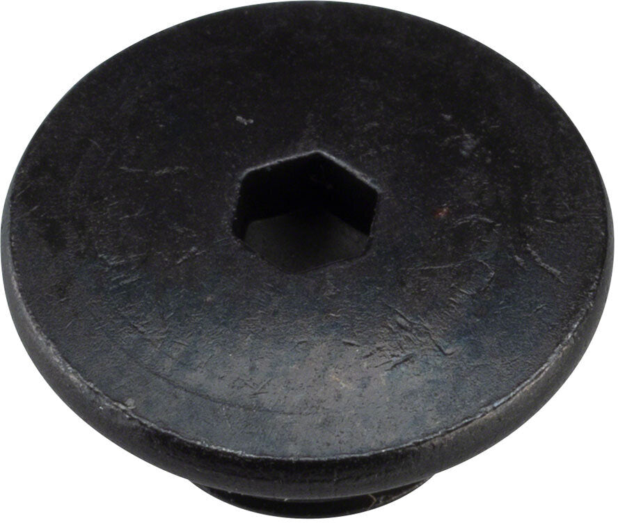 105 ST-R7020 Hydraulic Brake/Shifter Bleed Screw and O-Ring