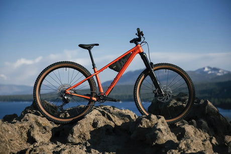 Trek Roscoe: The Hardtail Built to Get Rowdy on Real Trails
