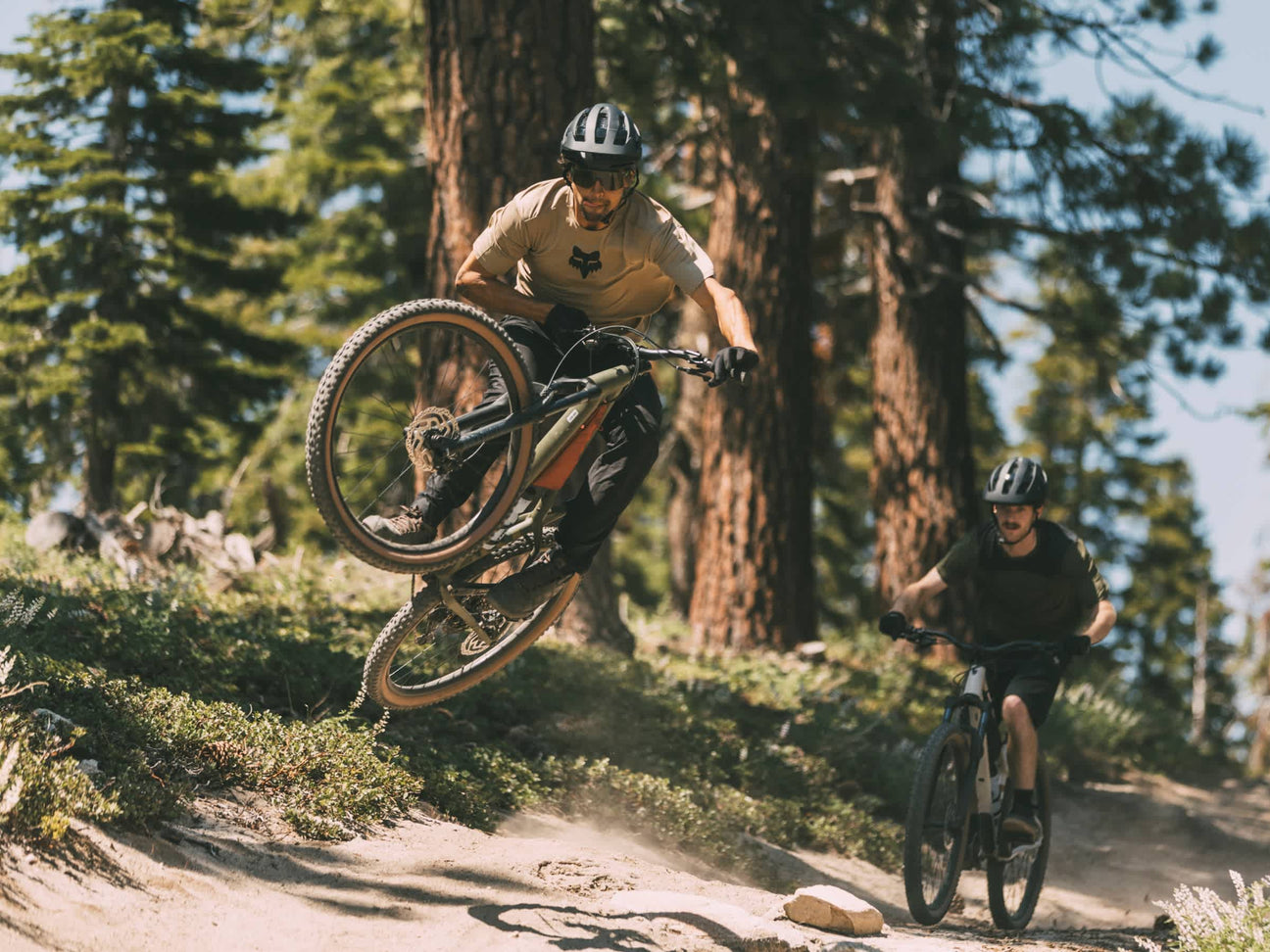 Trek Roscoe Hardtail Mountain Bike