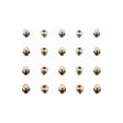 SRAM Lever Bleed Screw 20pcs