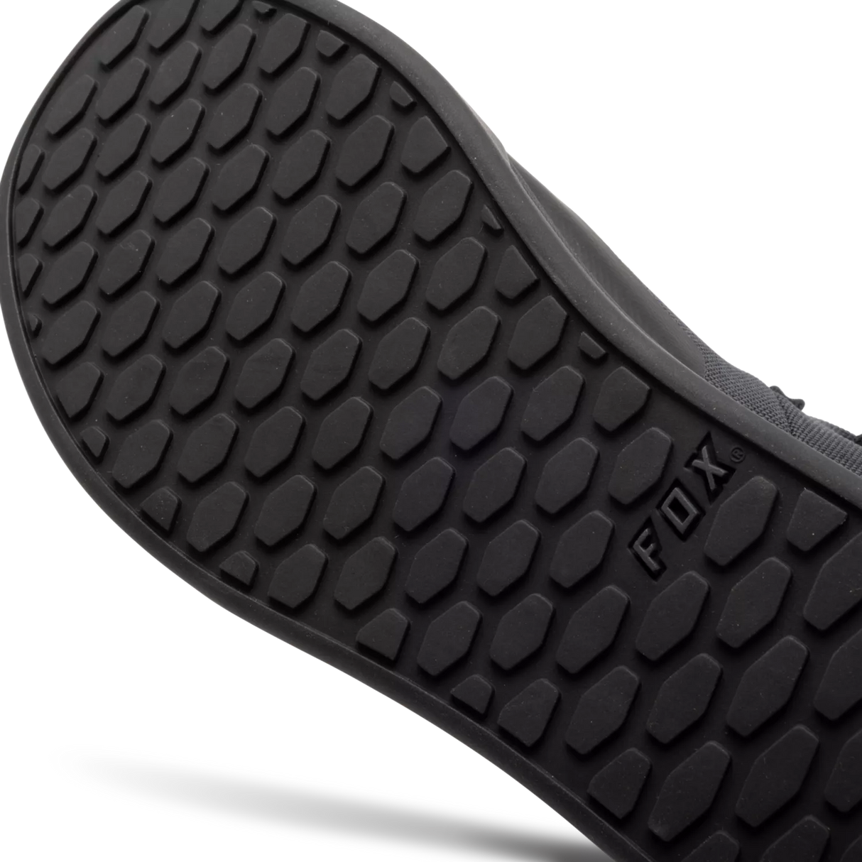 Fox Union Canvas Shoes
