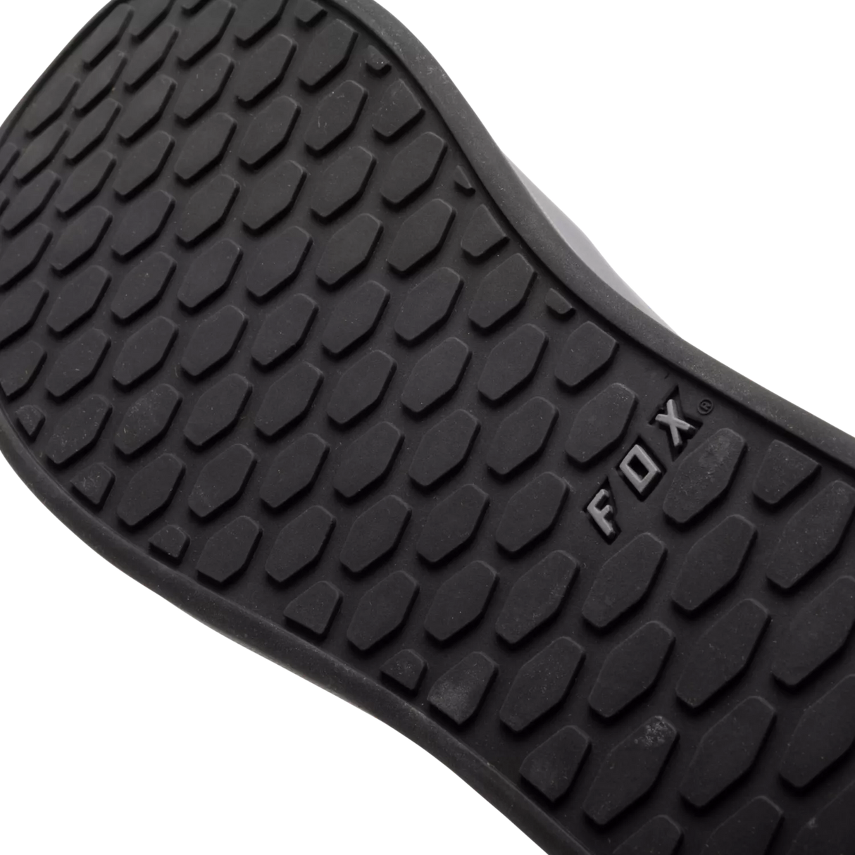 Fox Union Canvas Shoes