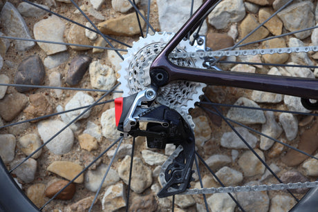 Langma Advanced SL Disc RED image 2