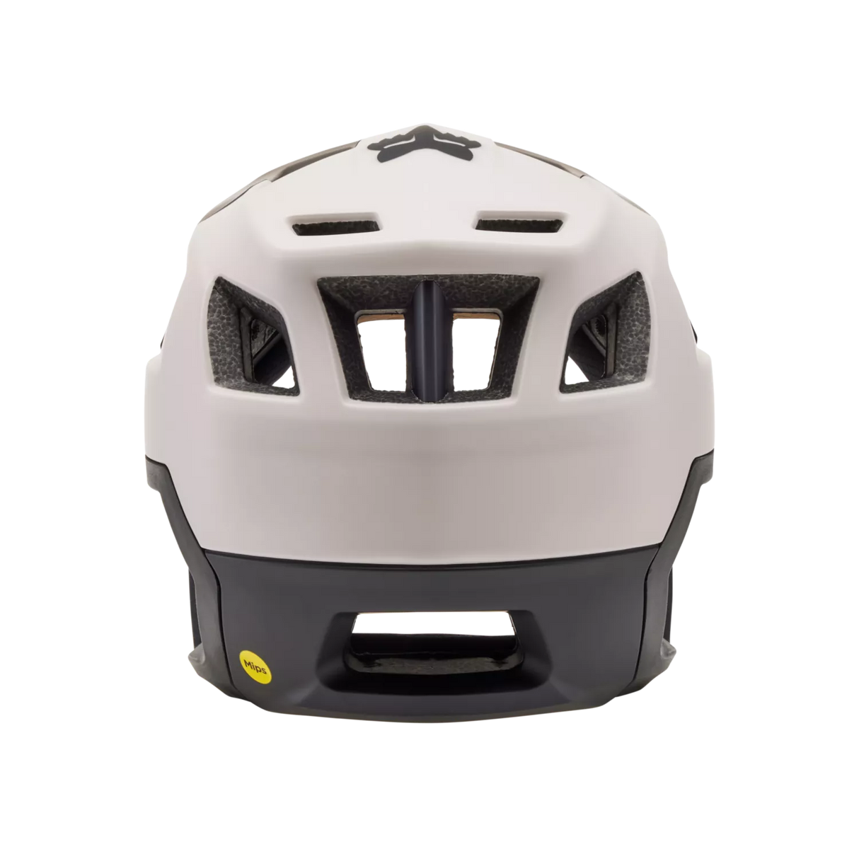 Dropframe Helmet