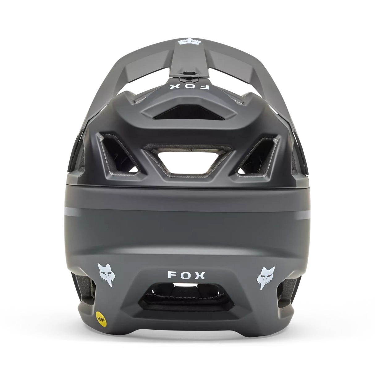Proframe Rizer Helmet