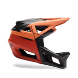 Proframe Rizer Helmet