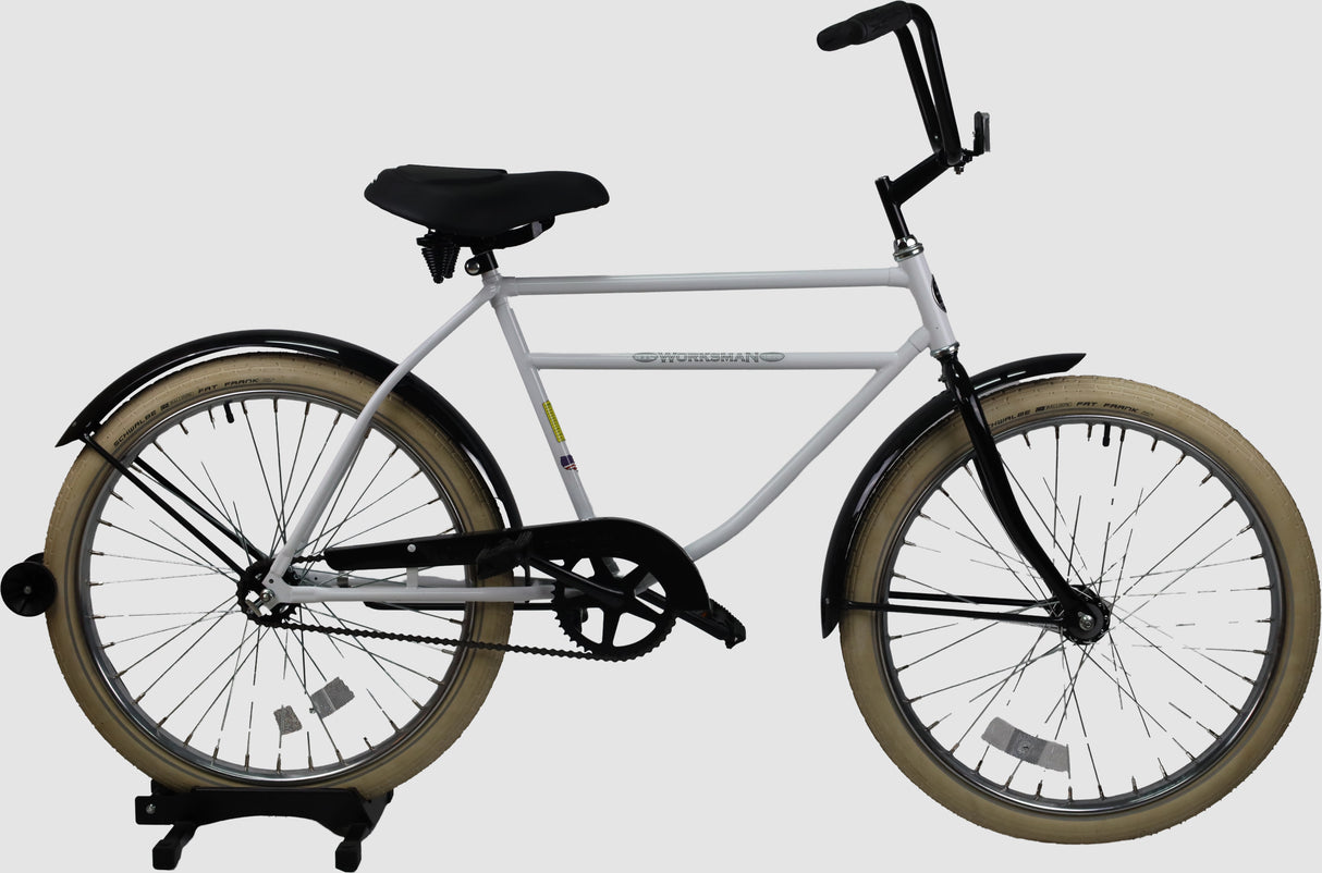 Model M2600 Specialty Bike