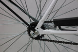 Model M2600 Specialty Bike