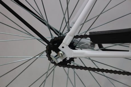 Model M2600 Specialty Bike