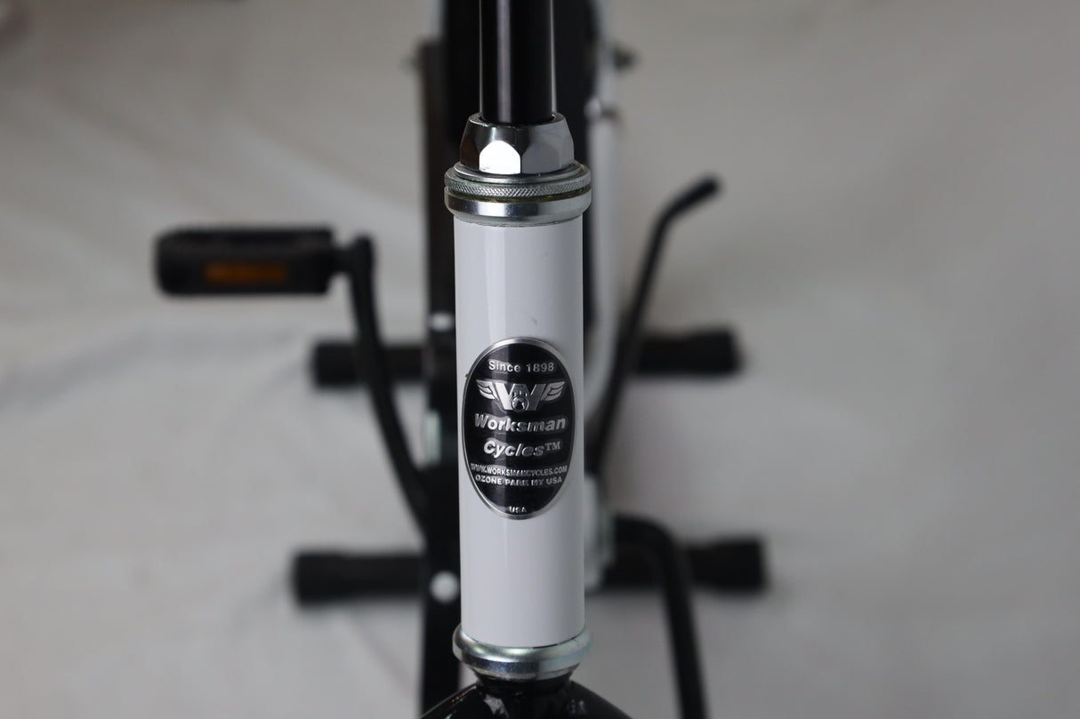Model M2600 Specialty Bike