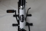 Model M2600 Specialty Bike