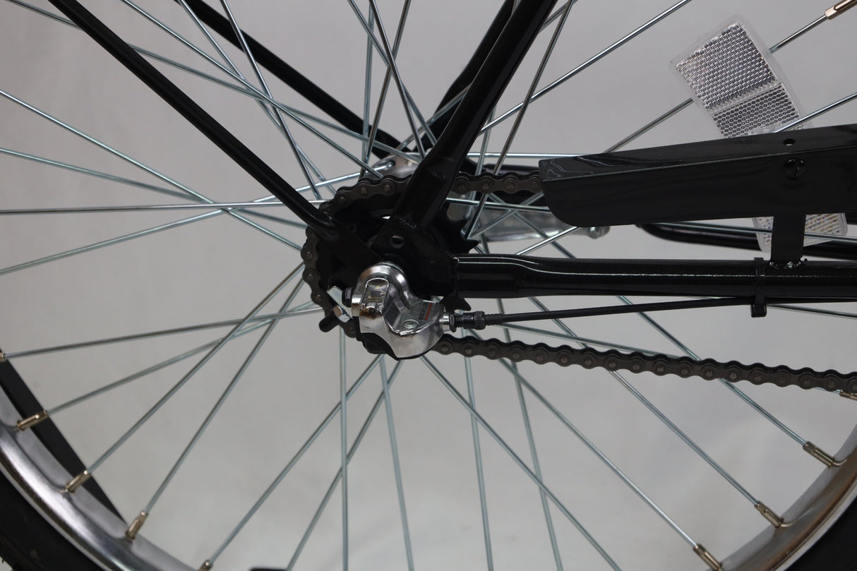 Model M2600 HD Specialty Bike