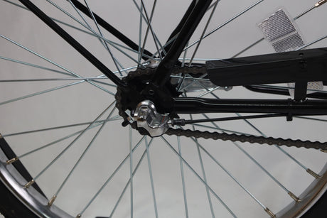 Model M2600 HD Specialty Bike