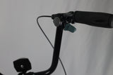 Model M2600 HD Specialty Bike