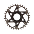SRAM XX T-Type Fazua Chainring Teeth: 32 Speed: 12 BCD: Direct Mount Aluminum/Steel Silver