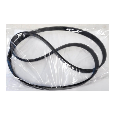 Sunlite F7 Trainer Replacement Parts Belt #63