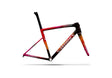 Specialized Tarmac Sl8 Team Replica Sd Worx Frameset Team, Sd Worx 58