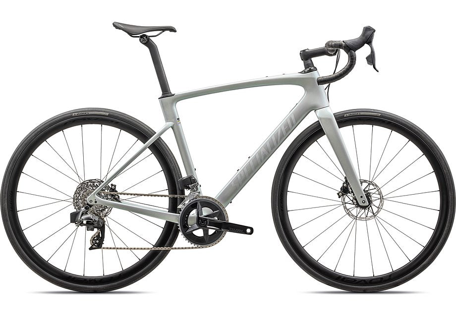 2025 Specialized Roubaix Expert Bike Gloss Dove Grey/Chameleon Lapis  61