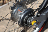 Rover Tandem  image 2