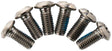 TRP Disc Brake Rotor Torx Bolts - Titanium T25 6 pk.