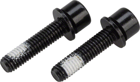 TRP Flat Mount Rear Caliper Mounting Bolt - 22mm