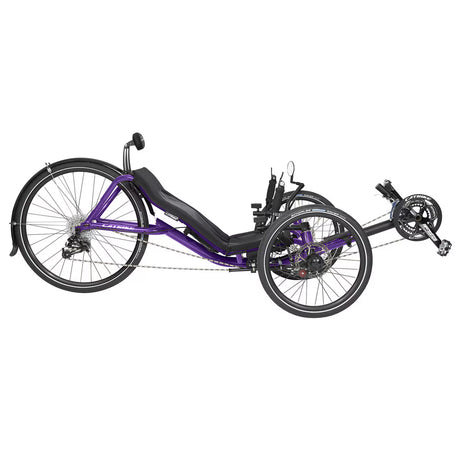 Expedition Recumbent Trike