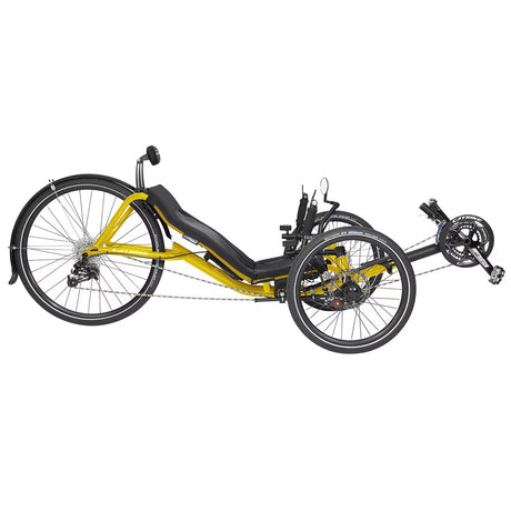 Expedition Recumbent Trike