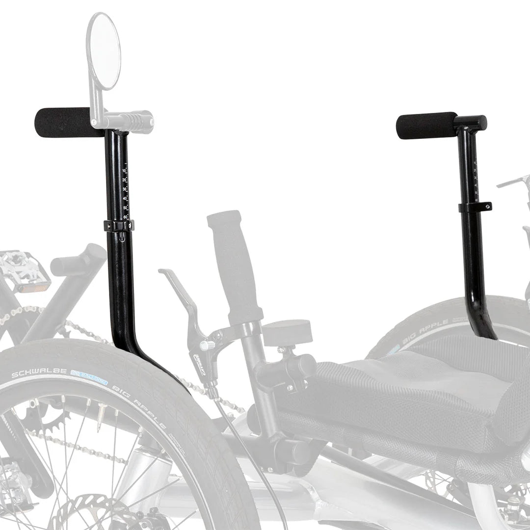 Assist Bar Pair