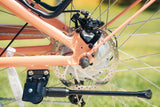 Cruiser 1 Step-thru