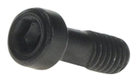 Bosch Purion 400 Mounting Clamp Screw