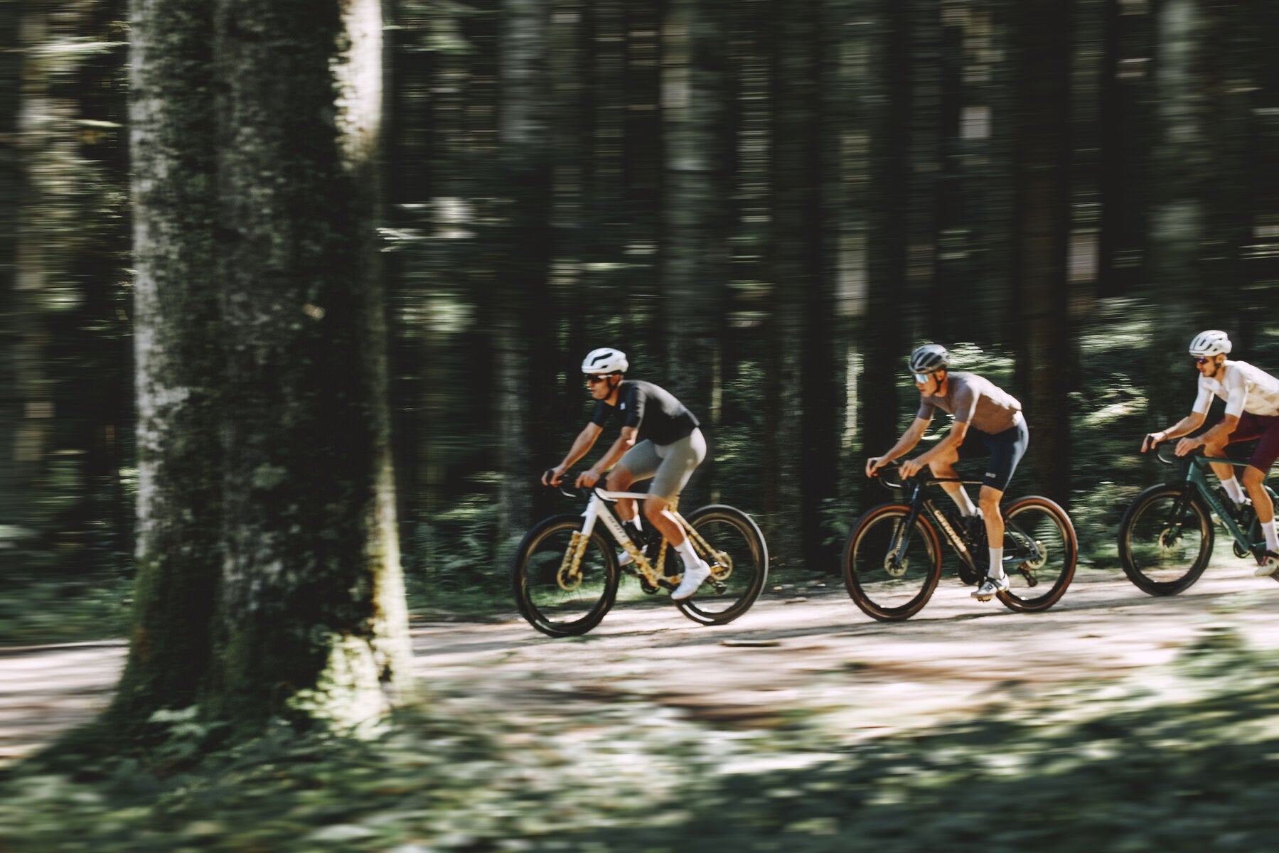 Campagnolo – Bike Mart
