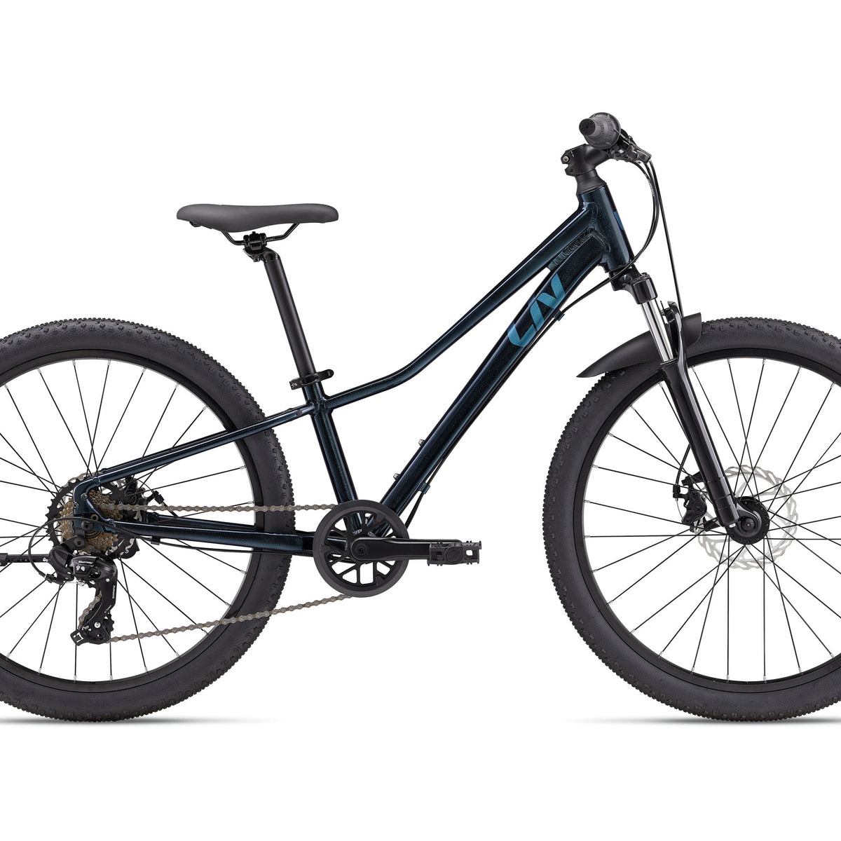 2025 Tempt 24 Disc 24 Inch Kids Mountain Bike – Bike Mart
