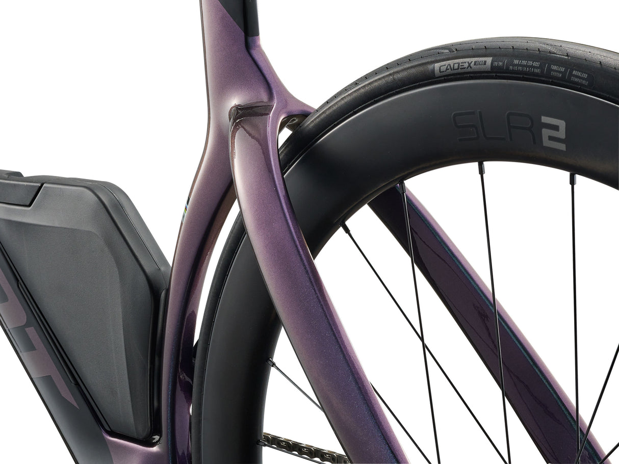 Trinity Advanced SL 2