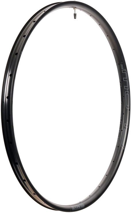 Stan's Flow EX3 Rim - 29 Disc Black 32H