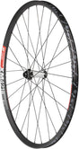 DT Swiss  350/XM421 Front Wheel - 29" 15 x 110mm Center Lock Black