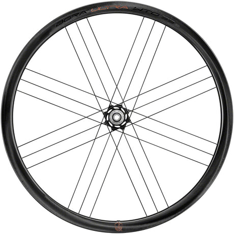 Campagnolo Bora Ultra WTO 33 Rear Wheel - 700c 12 x 142mm Center-Lock N3W 2-Way Fit Gray