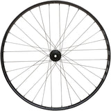 WTB Proterra Tough i30 Rear Wheel - 29" 12 x 148mm 6-Bolt BLK Micro Spline 32H